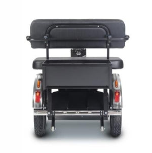 Afiscooter FTO0245 3 Wheel Scooter by Afikim model SE