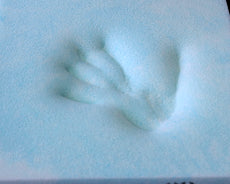 Perceptive Sleep Pro Foam 7.3 Mattress HSM