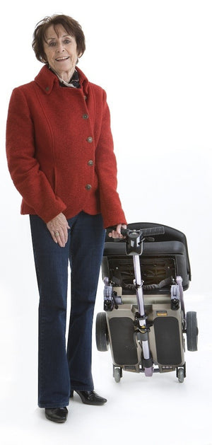 Luggie Standard 3-Wheel Scooter