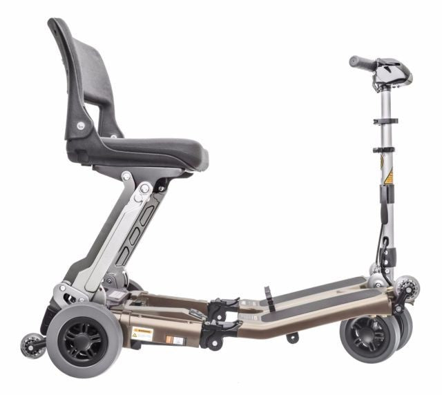 Luggie Standard - Champagne