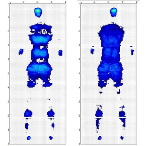 Universal Therapy System (UTS)