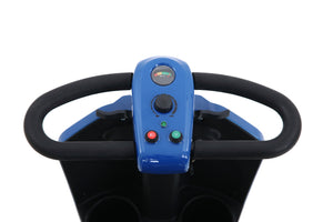 Metro Mobility Patriot