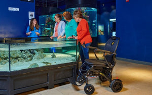 Golden Cricket Foldable Power Wheelchair GP302