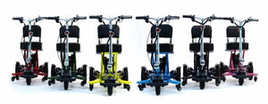 Triaxe Sport Scooter - Enhanced Mobility
