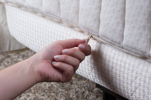 Ascent Mattress