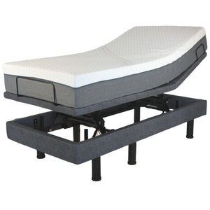 Golden Passport Hi-Low Adjustable Base Bed