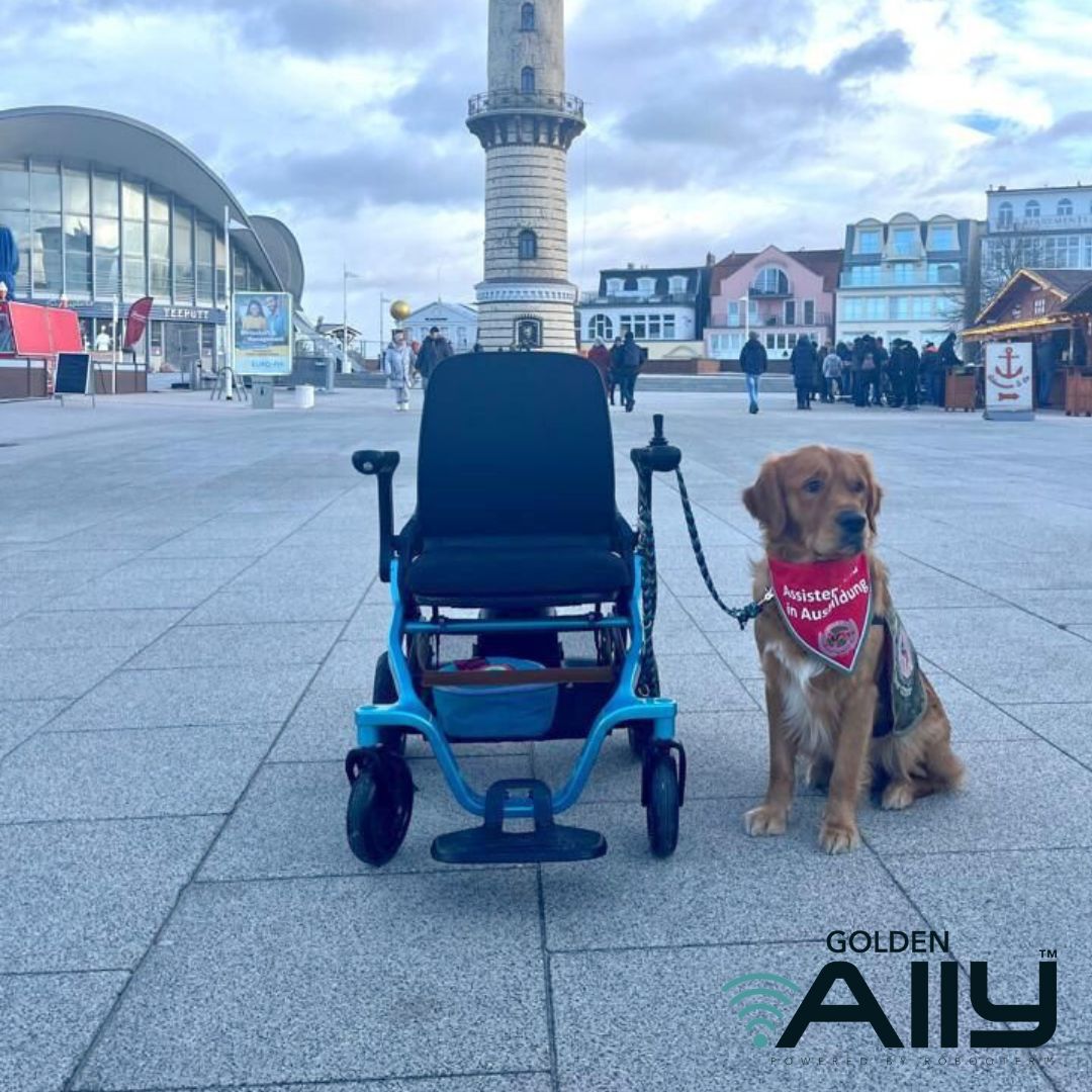 Golden Ally Folding Power Wheel Chair FPW GP303